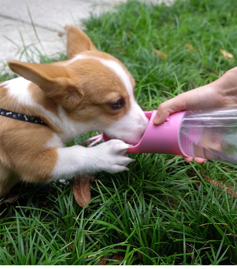 2-in-1 Portable Dog Water Bottle & Food Dispenser - Image 2
