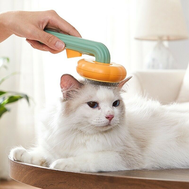 Pet Pumpkin Self-Cleaning Slicker Brush - Image 2