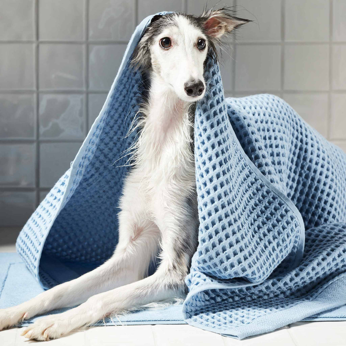 Dreamweave Waffle Towel Move-In Bundle - Image 13