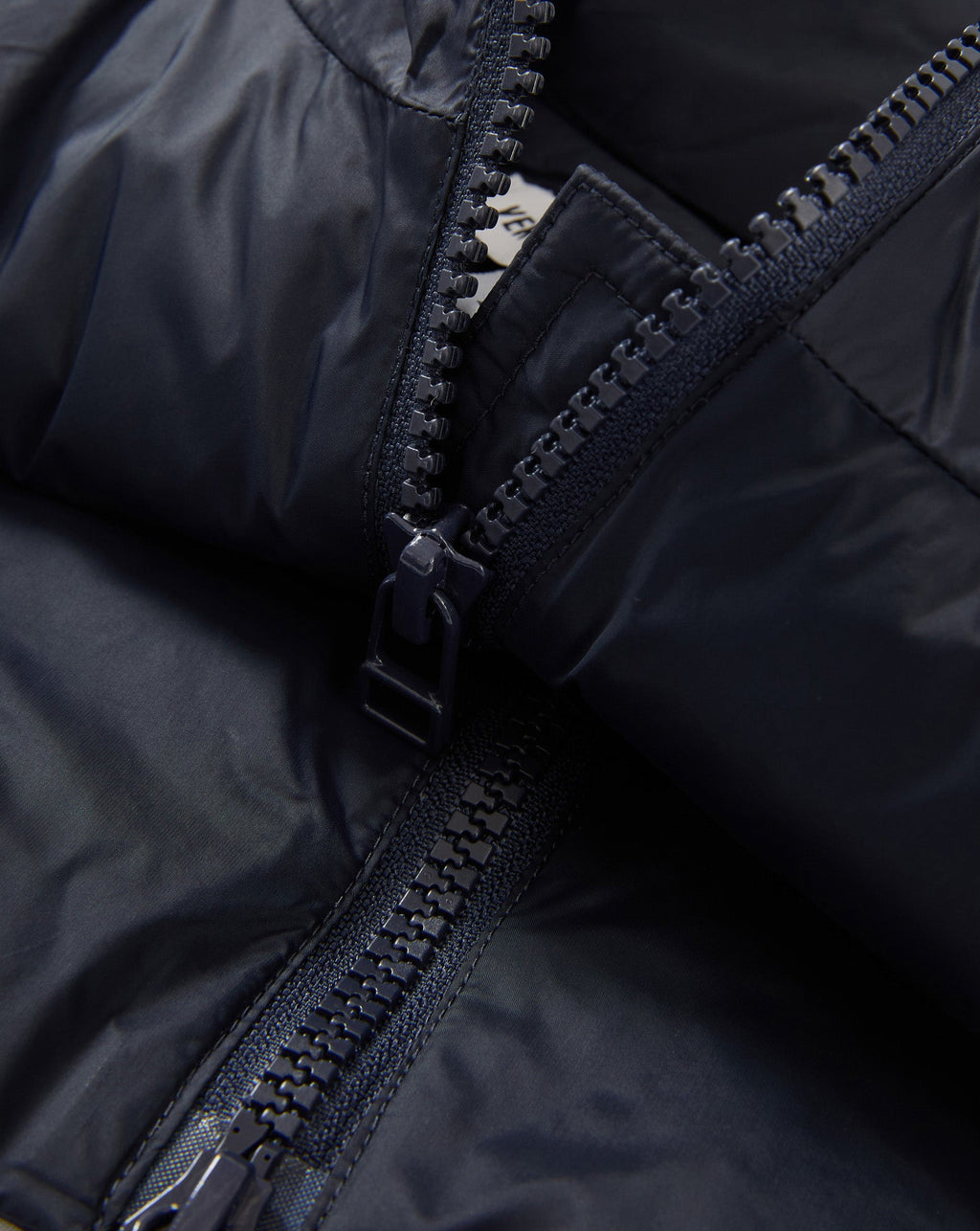 Puffer Dickey - Image 3