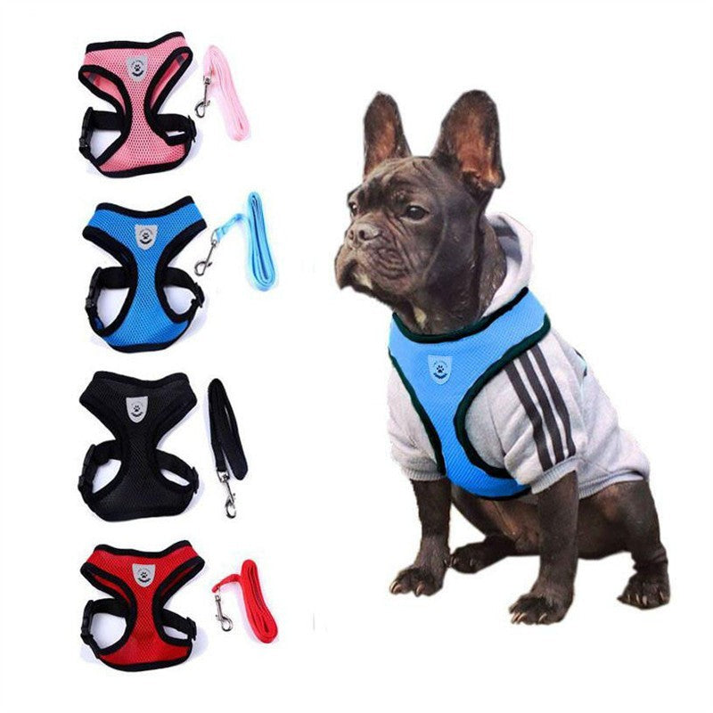 2-in-1 Pet Car Seat Belt & Leash - Image 2
