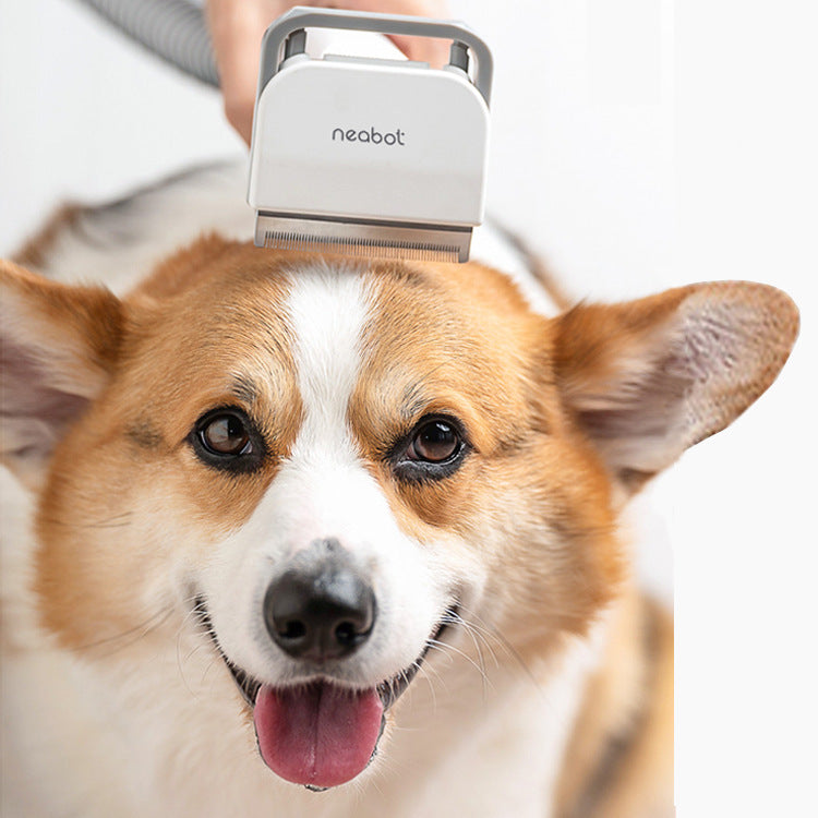 Ultimate Pet Grooming Tool - Image 2