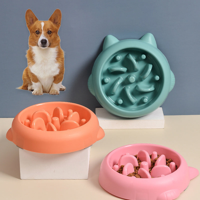 Pet Slow Feeder Bowls for Dogs & Cats
