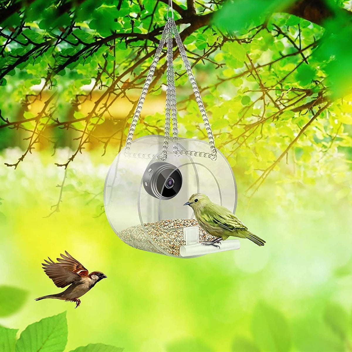 Smart Pet Feeder with HD Camera - Round