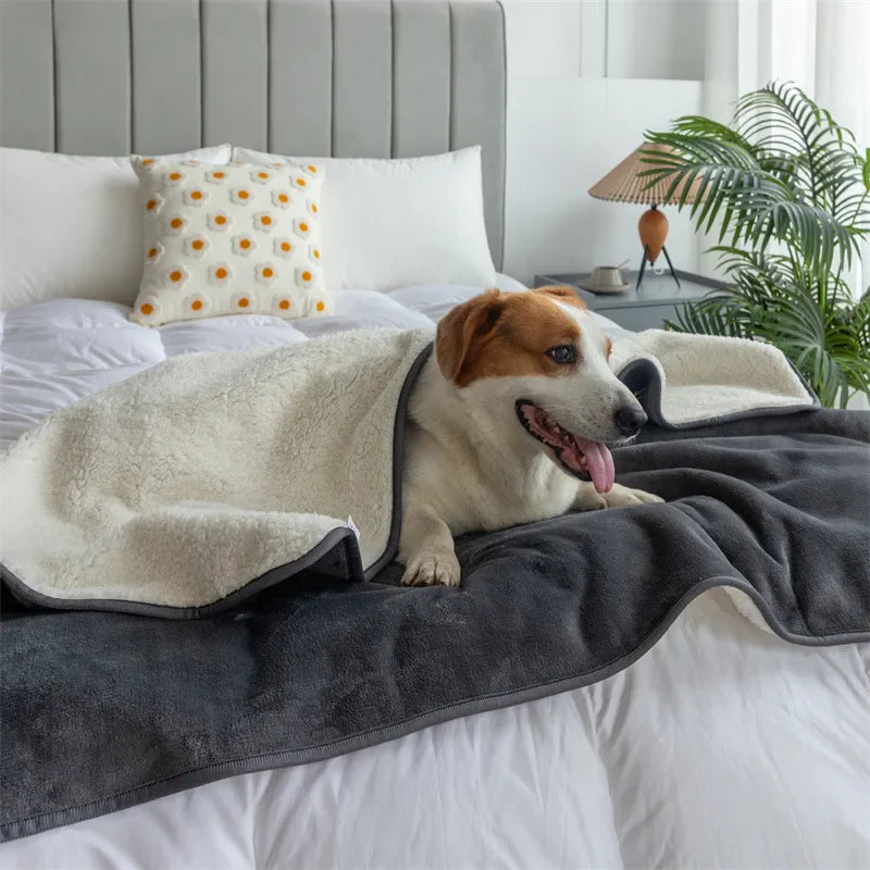 Love Blanket
