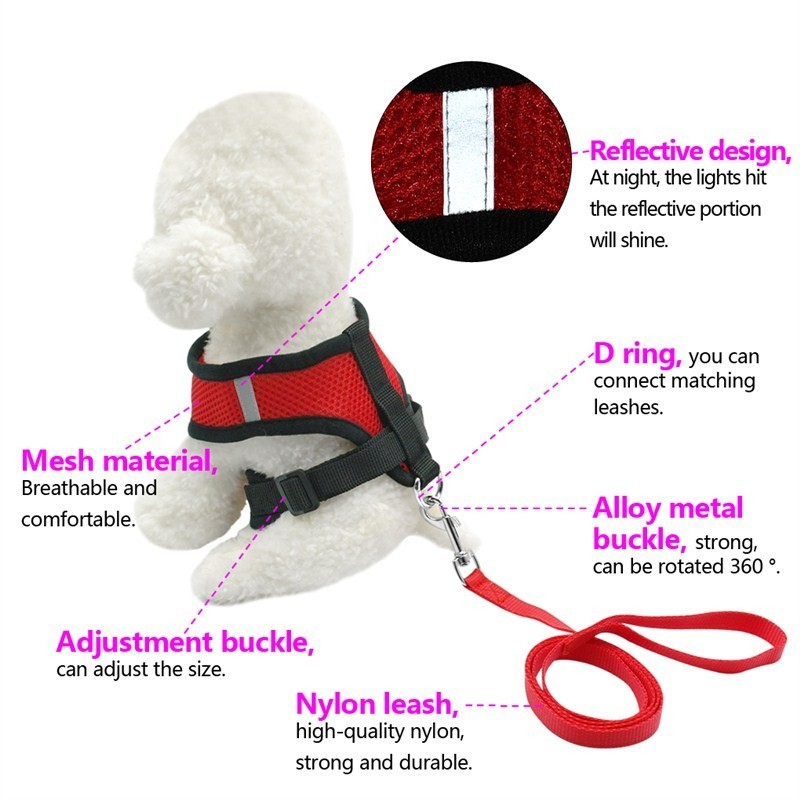 2-in-1 Pet Car Seat Belt & Leash - Image 4