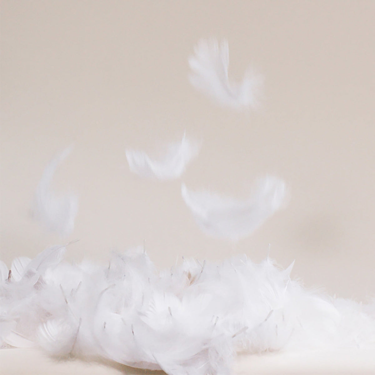 Down Comforter - Image 7