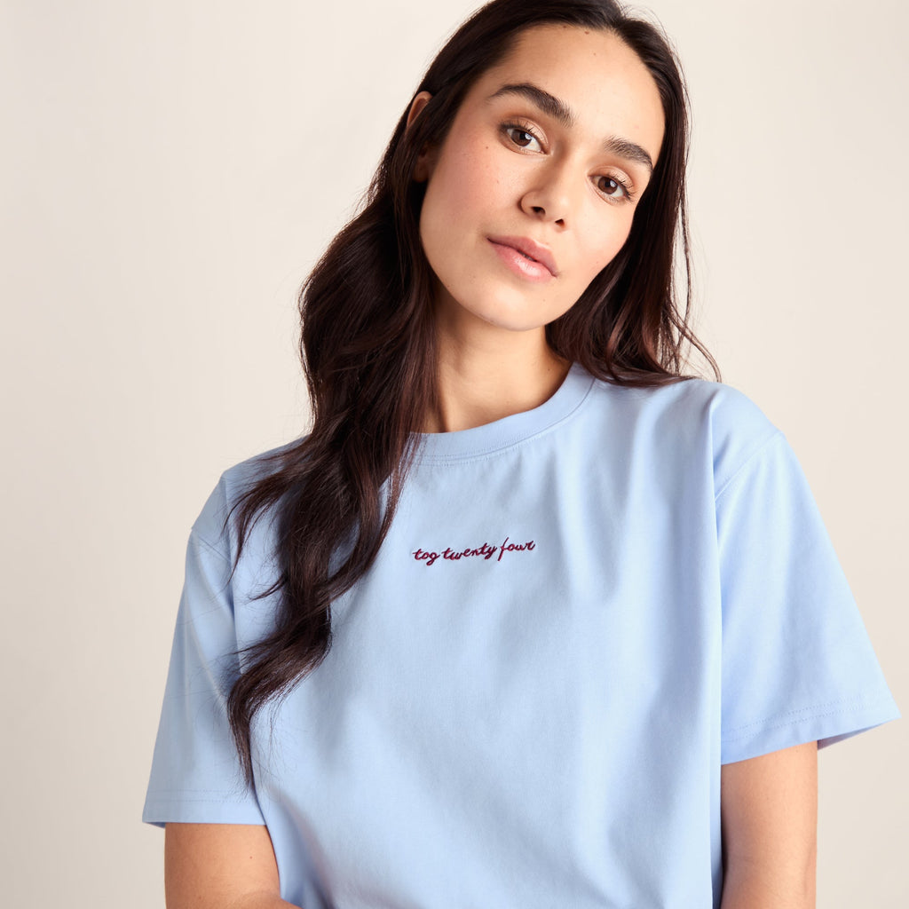 Agnes Womens Relaxed Fit Supersoft Premium T-Shirt - Ash Blue - Image 5