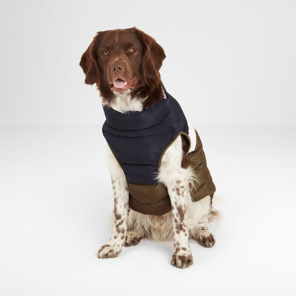 Fetch Padded Dog Coat - Faded Khaki/Dark Indigo/Optic White - Image 3