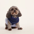 Fetch Padded Dog Coat XS - Oxford Blue/Light Mist/Lavender Grey
