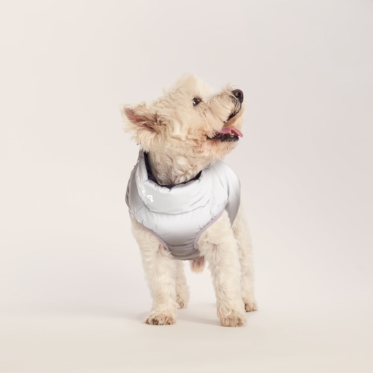 Fetch Padded Dog Coat S - Oxford Blue/Light Mist/Lavender Grey - Image 6