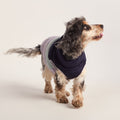 Fetch Padded Dog Coat M - Oxford Blue/Light Mist/Lavender Grey