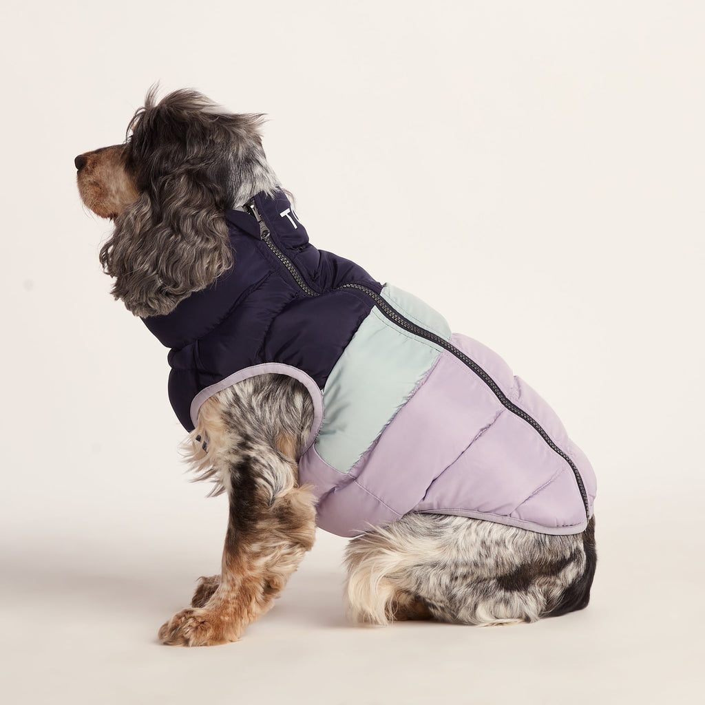 Fetch Padded Dog Coat M - Oxford Blue/Light Mist/Lavender Grey - Image 4