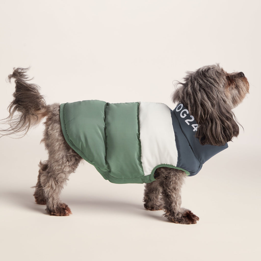 Fetch Padded Dog Coat XS - Dark Indigo/Vanilla/Light Forest - Image 2