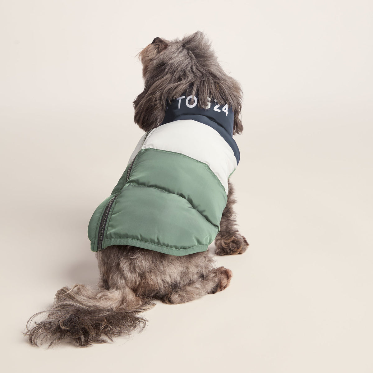 Fetch Padded Dog Coat XS - Dark Indigo/Vanilla/Light Forest - Image 4