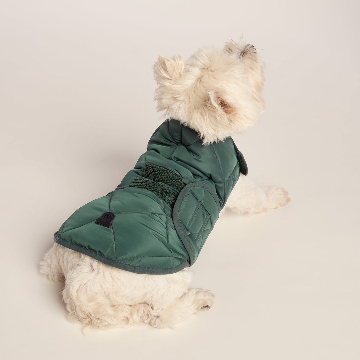 Fido Padded Dog Coat S - Racing Green - Image 2