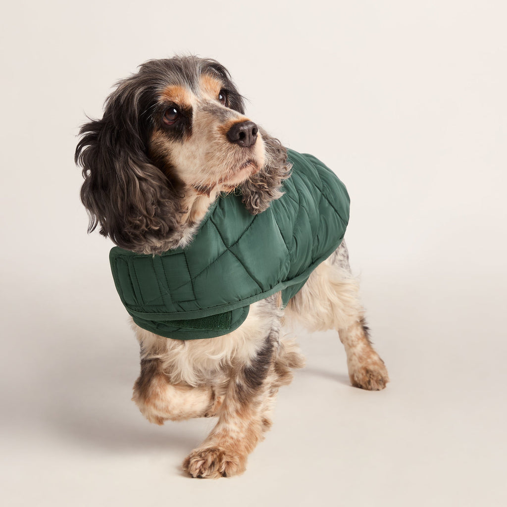 Fido Padded Dog Coat M - Racing Green - Image 5