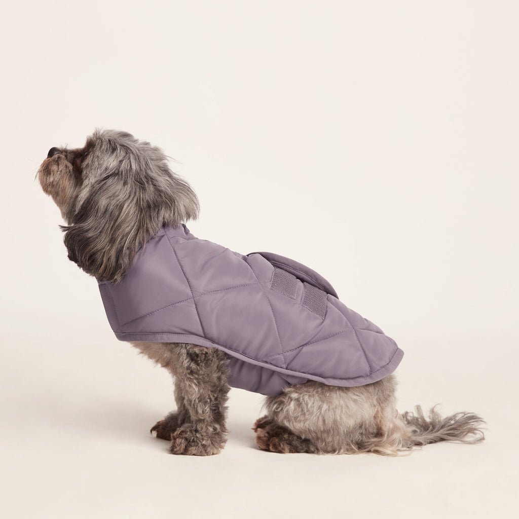 Fido Padded Dog Coat XS - Dusky Lilac - Image 5