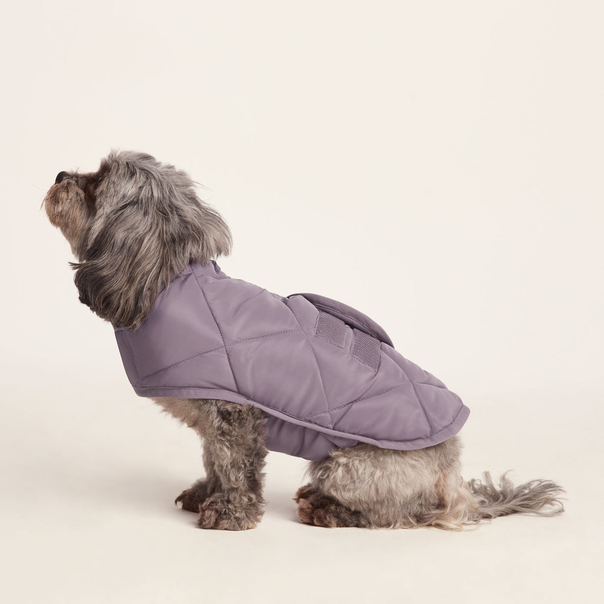 Fido Padded Dog Coat XS - Dusky Lilac - Image 5