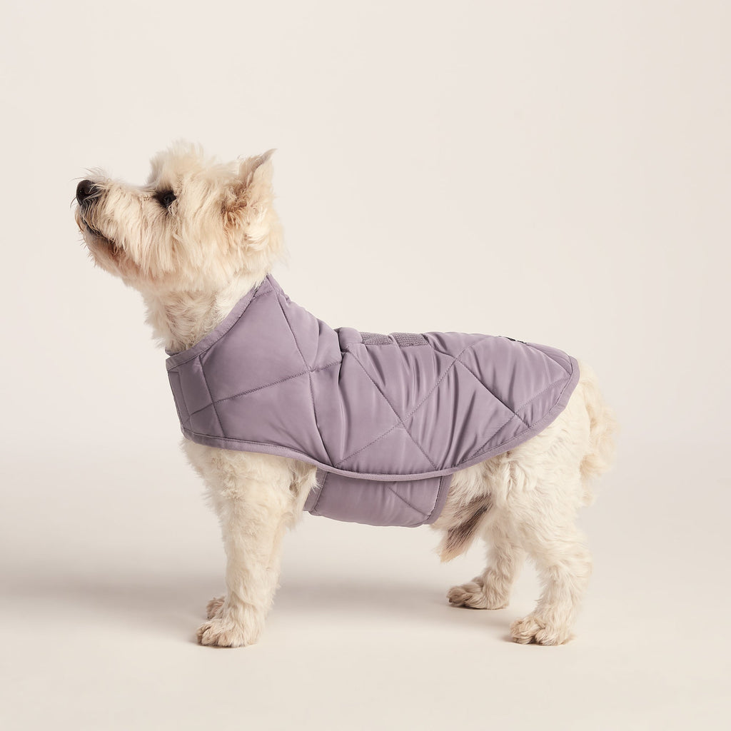 Fido Padded Dog Coat S - Dusky Lilac - Image 3