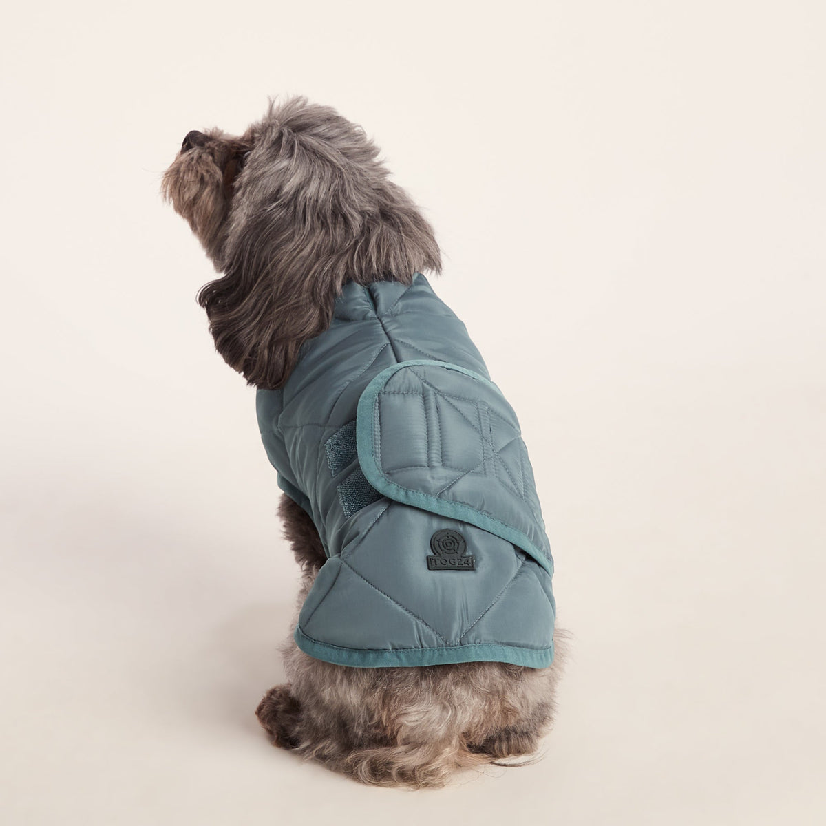Fido Padded Dog Coat XS - Graphite - Image 2