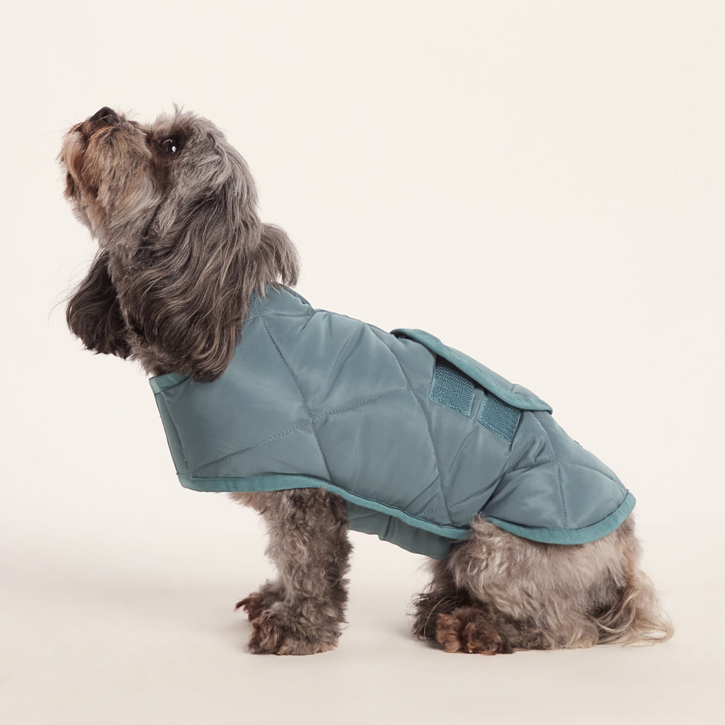 Fido Padded Dog Coat XS - Graphite - Image 3