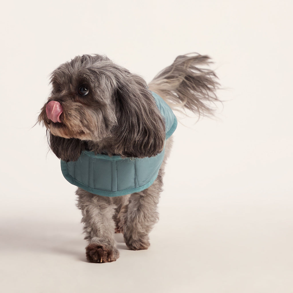 Fido Padded Dog Coat XS - Graphite - Image 5