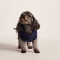 Rover Sherpa Dog Coat XS - Oxford Blue