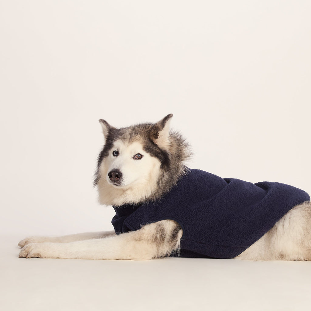 Rover Sherpa Dog Coat L - Oxford Blue - Image 4