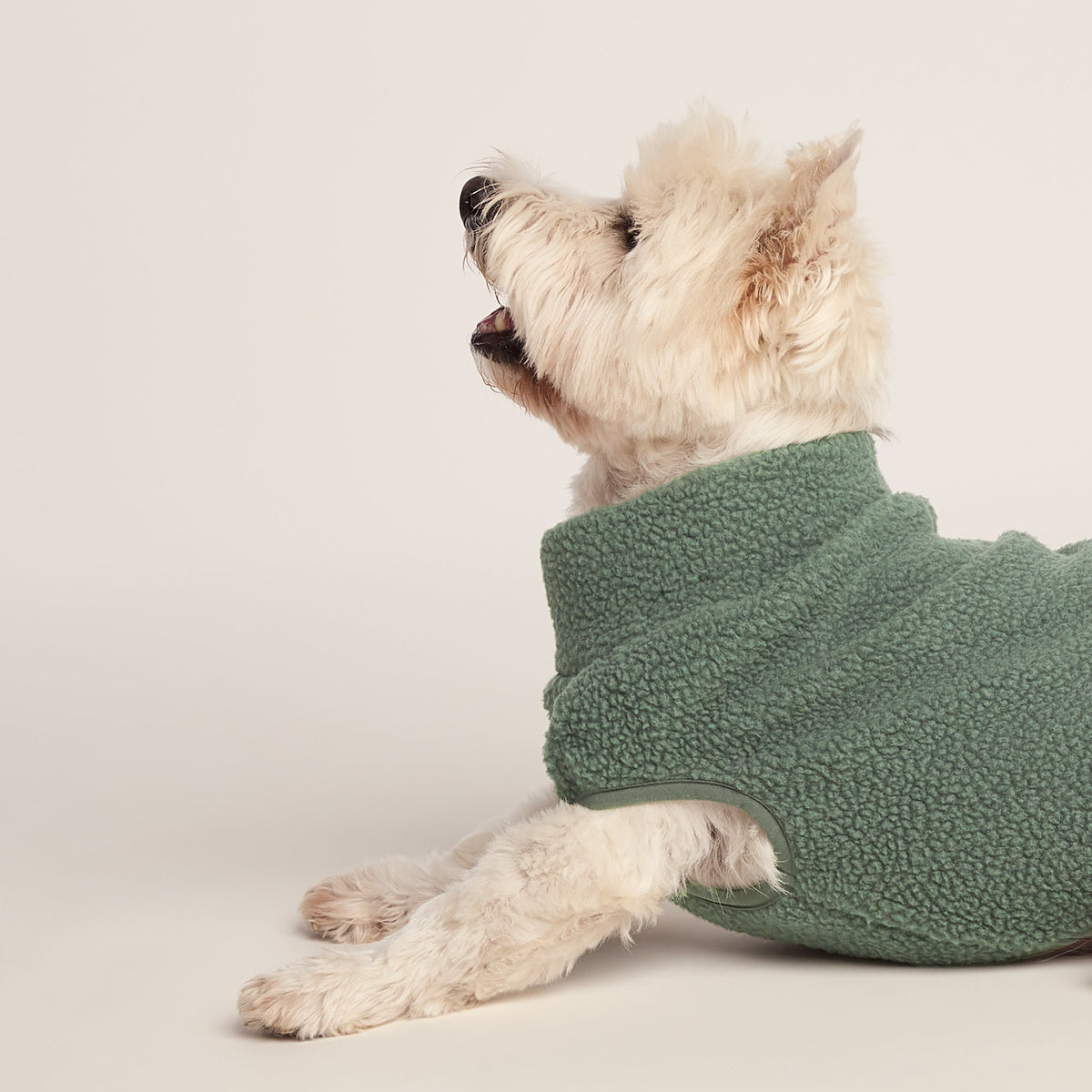 Rover Sherpa Dog Coat S - Light Forest - Image 4