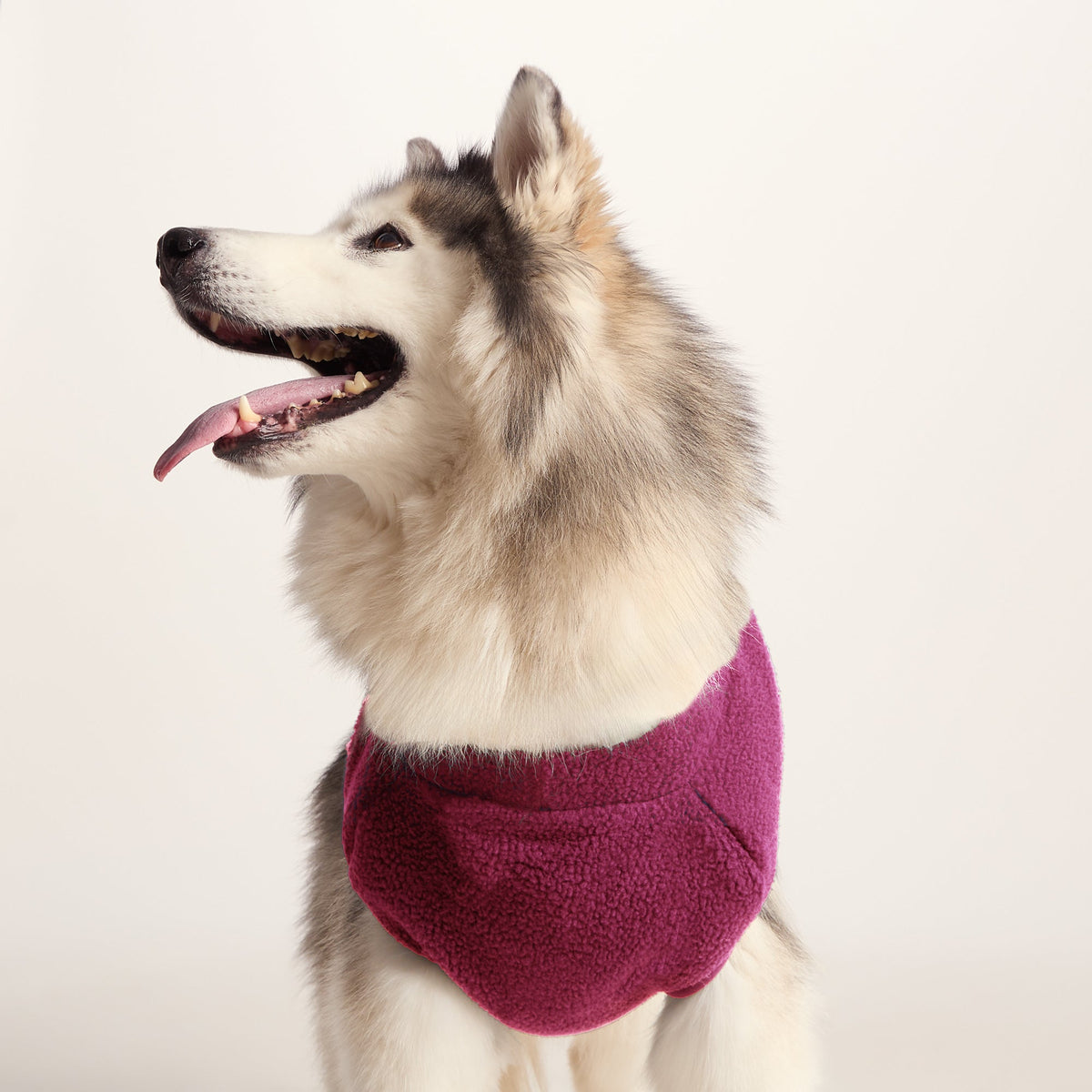Rover Sherpa Dog Coat L - Washed Burgundy - Image 3