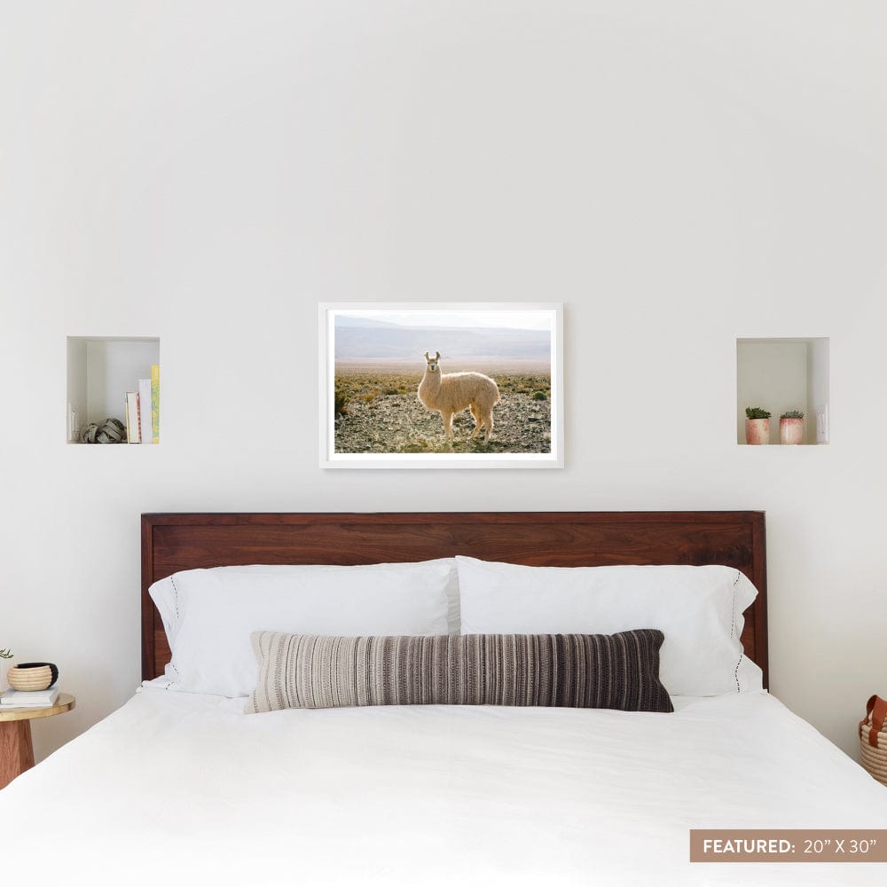 Atacama Desert - 20'' x 30'' / White Frame