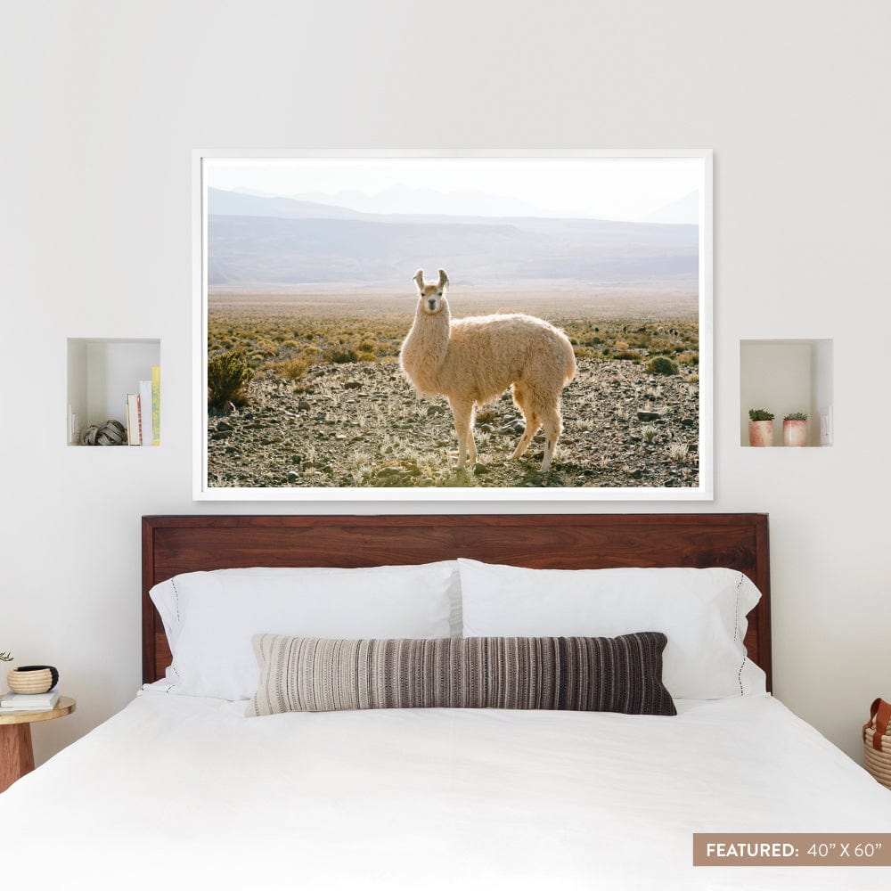 Atacama Desert - Image 9