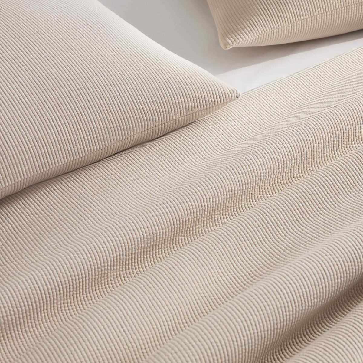 Ribbed Matelasse Sham Set - Last Call - Image 30