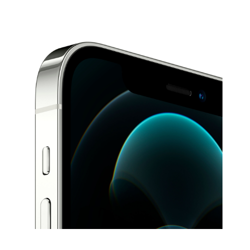 iPhone 12 Pro Silver 256GB (Unlocked) - Image 3