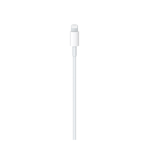 USB-C to Lightning Cable (3.3ft) - Image 2