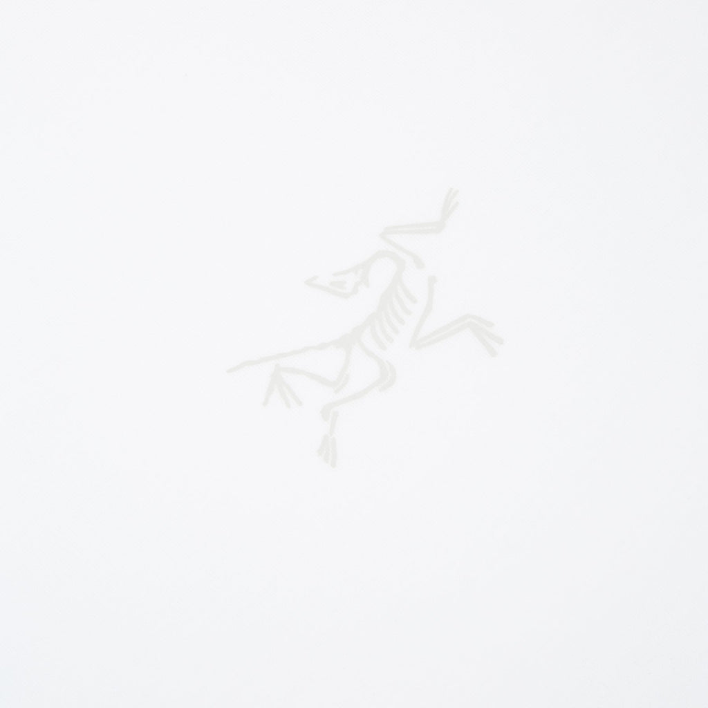 Arc'teryx Kragg SL Cotton SS M (White Light) - Image 4