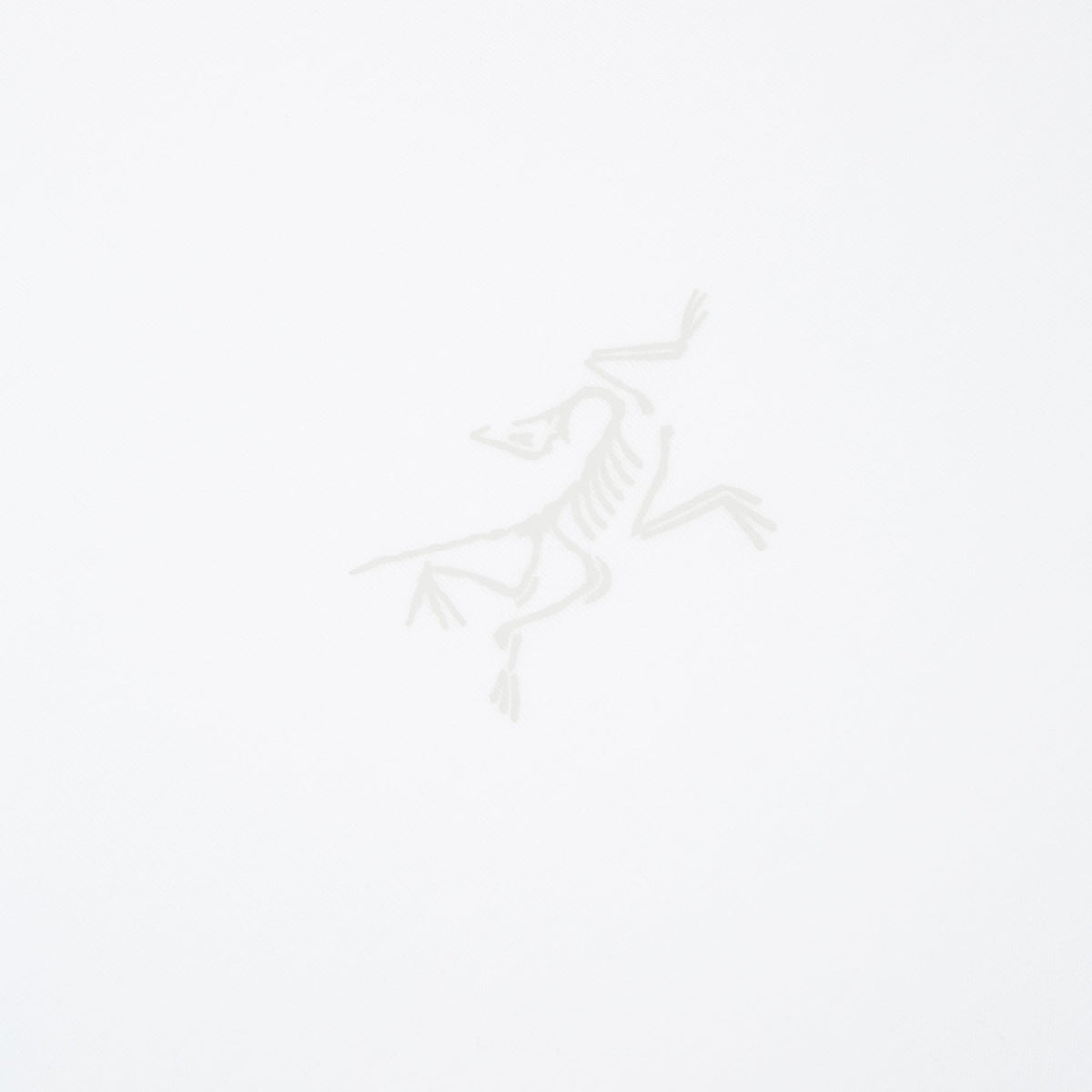 Arc'teryx Kragg SL Cotton SS M (White Light) - Image 4