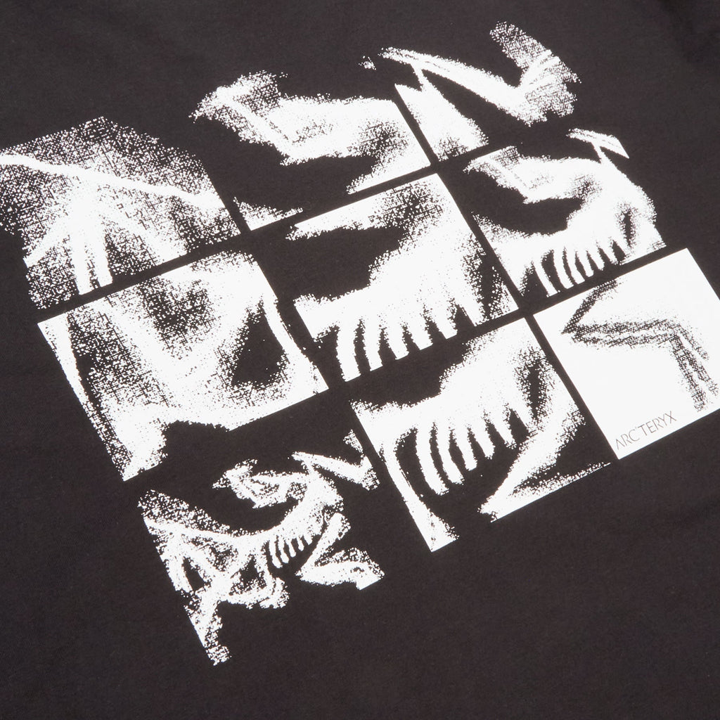Arc'teryx Kragg SL Cotton Bird Tile LS M (Black / Arctic Silk) - Image 5