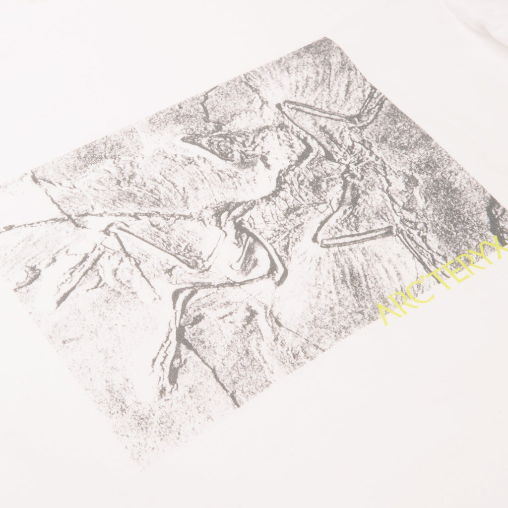 Arc'teryx Kragg Cotton Lithographica SS M (White Light) - Image 4