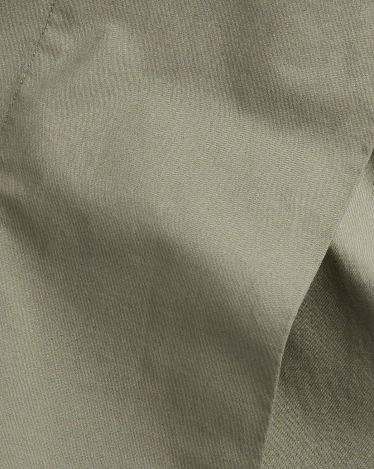 Brushed Cotton Fabric Swatch (Moss)