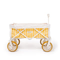 The Beach Cart