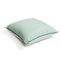 The Euro Throw Pillow