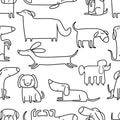 Monochrome Puppy Wallpaper